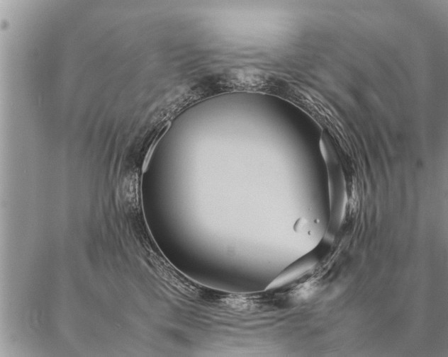 X0000087390425200704271627