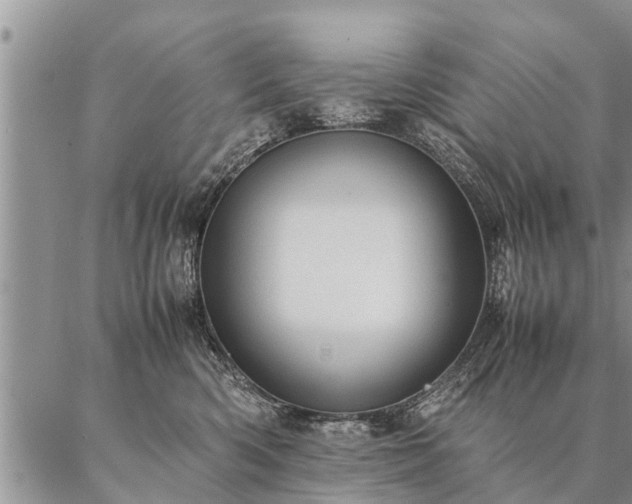 X0000087390426200704271627