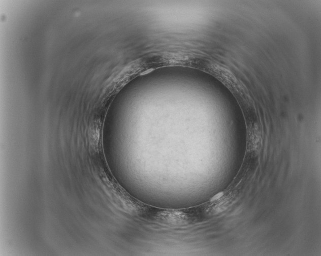 X0000087390427200704271627