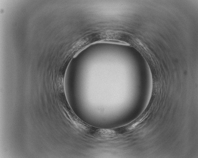 X0000087390429200704271627