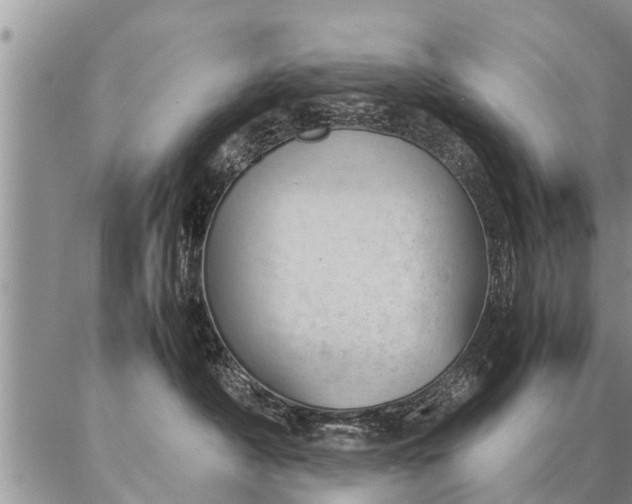 X0000087390430200704271627