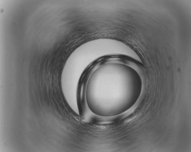 X0000087390432200704271627