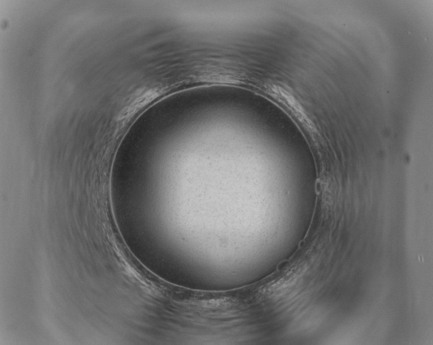 X0000087390433200704271626