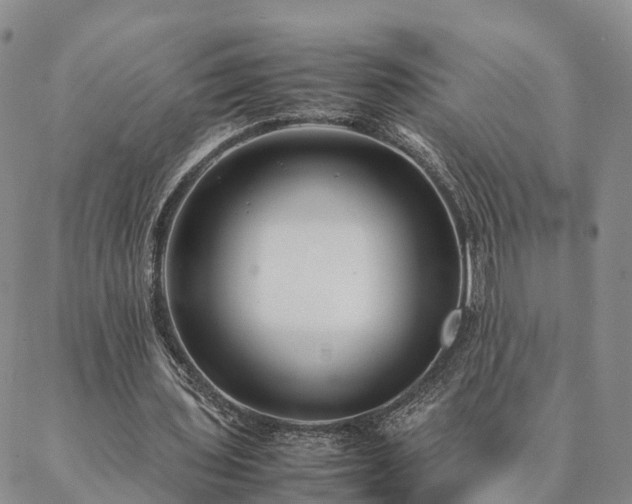 X0000087390435200704271626