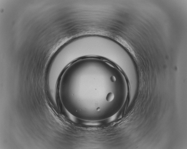 X0000087390436200704271626