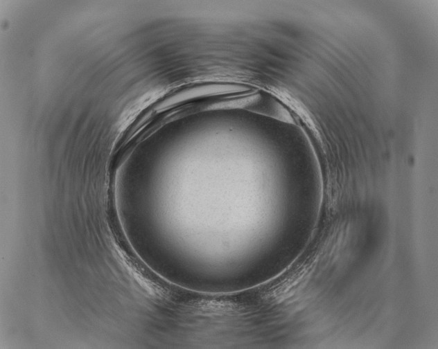 X0000087390437200704271626