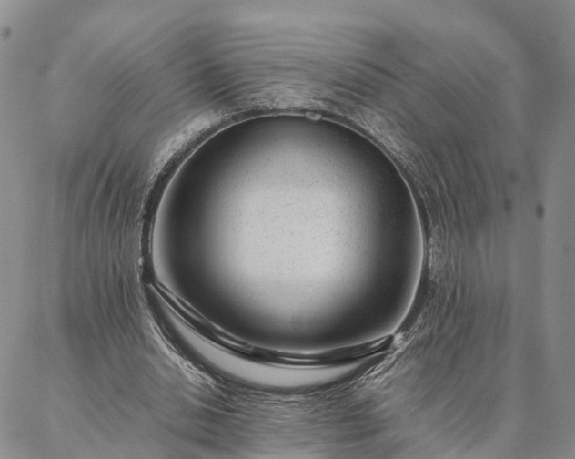 X0000087390438200704271626