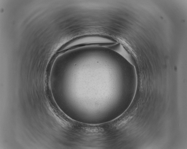 X0000087390439200704271626