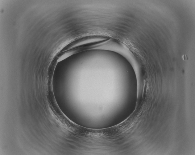 X0000087390440200704271626