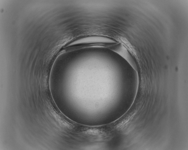 X0000087390441200704271626