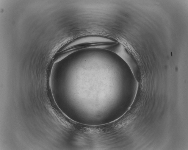 X0000087390442200704271626