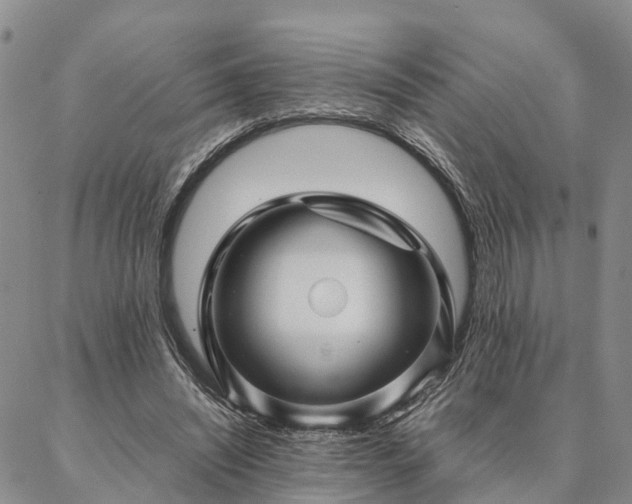 X0000087390444200704271626