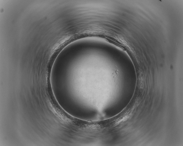 X0000087390446200704271626