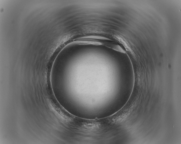 X0000087390447200704271626