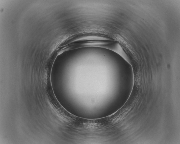 X0000087390448200704271626