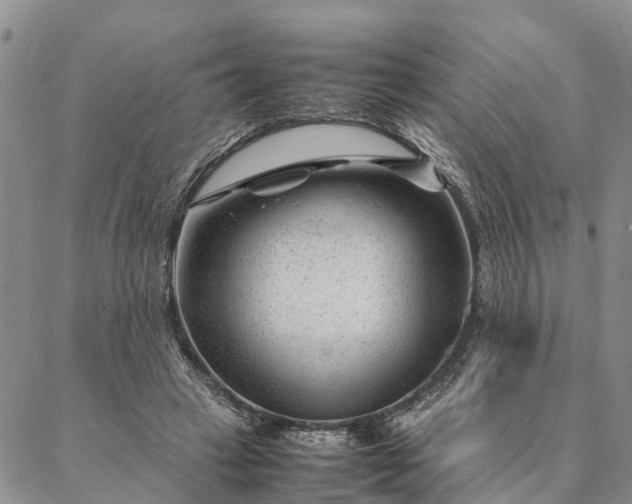 X0000087390449200704271626