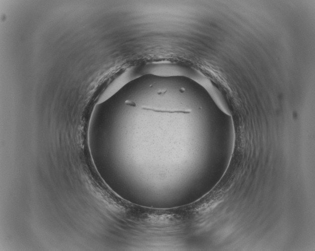 X0000087390450200704271626