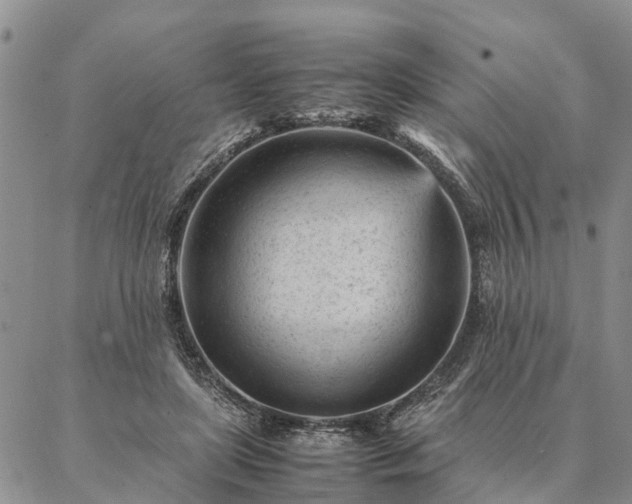 X0000087390451200704271626