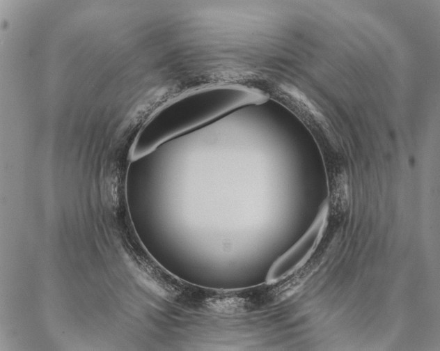 X0000087390452200704271626