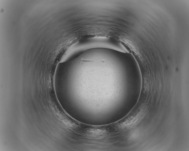 X0000087390453200704271626