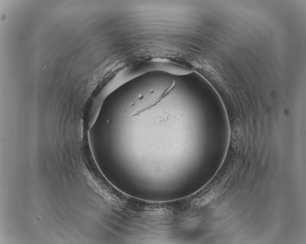 X0000087390454200704271626