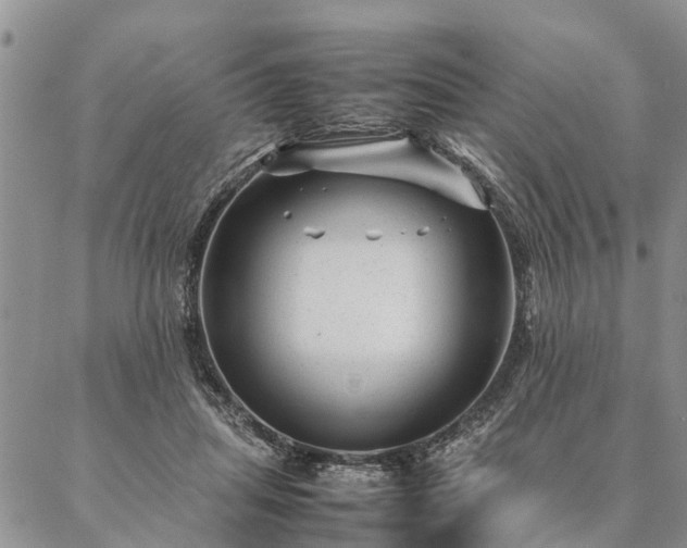 X0000087390455200704271626