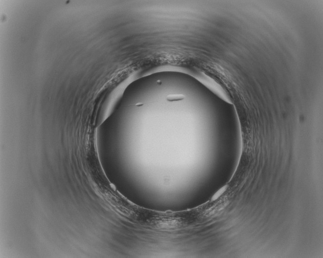 X0000087390456200704271626