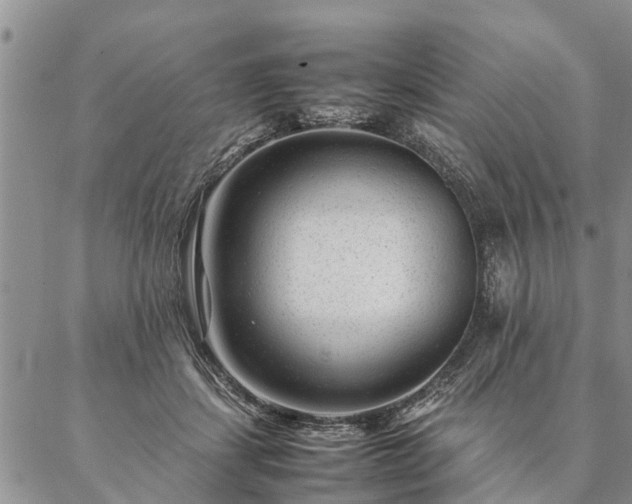 X0000087390459200704271626