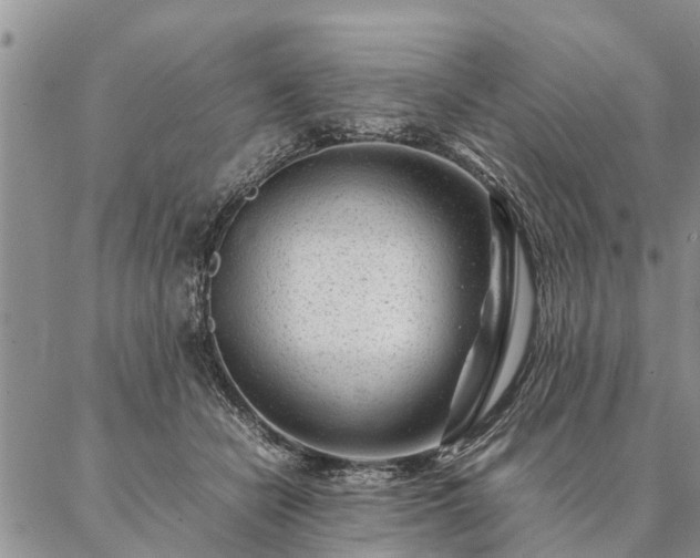 X0000087390462200704271626