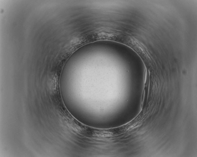 X0000087390463200704271626