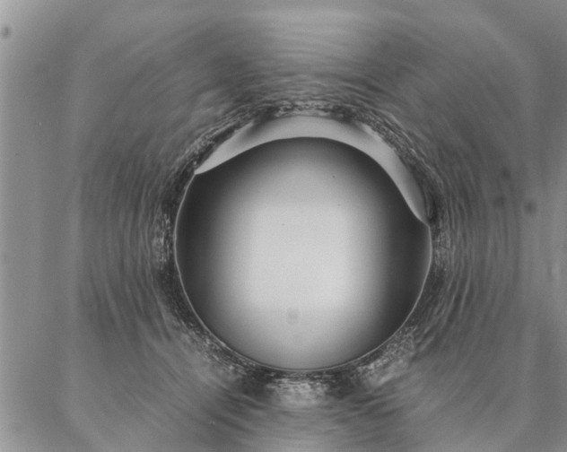 X0000087390464200704271626