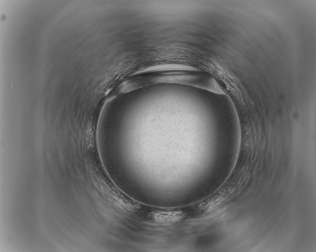 X0000087390465200704271626