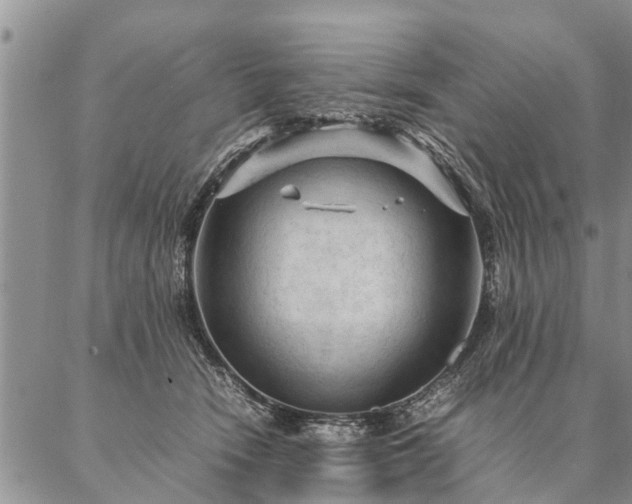 X0000087390466200704271626