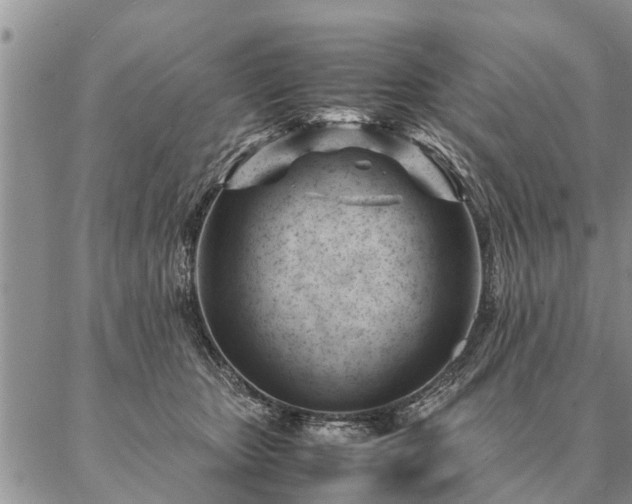 X0000087390467200704271626