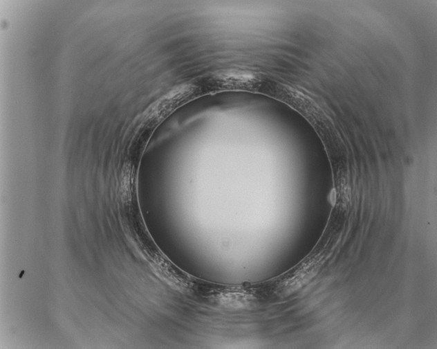 X0000087390468200704271626