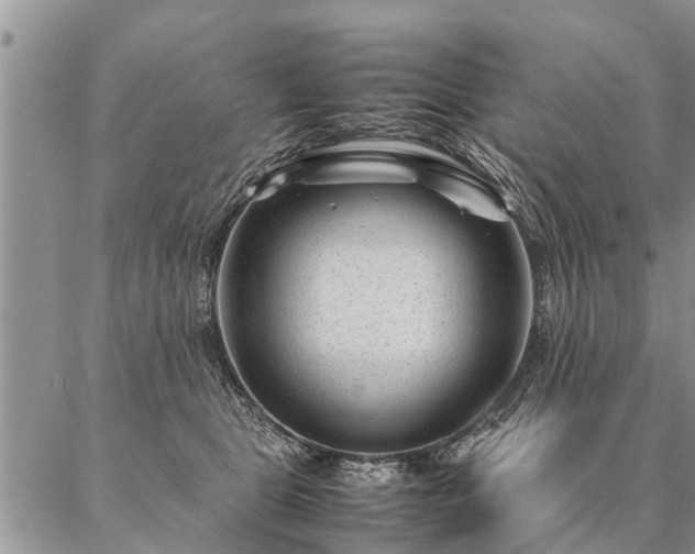 X0000087390469200704271626