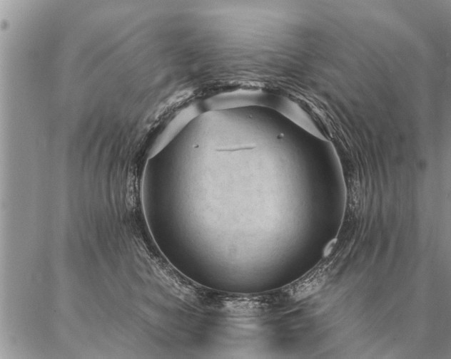 X0000087390470200704271627