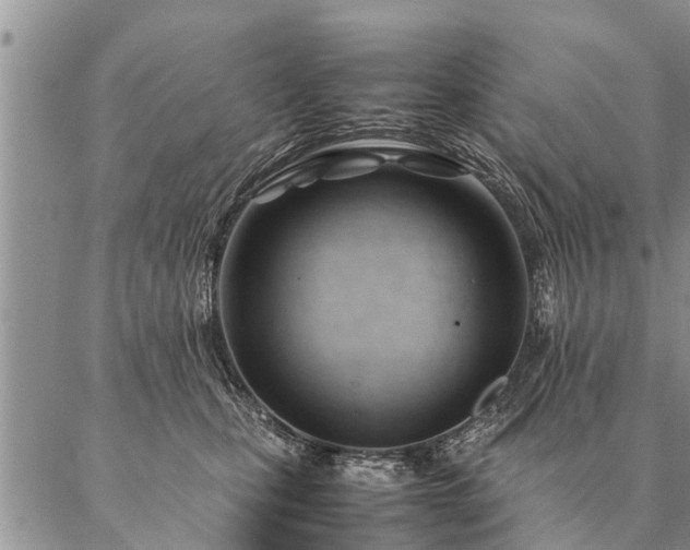 X0000087390471200704271627