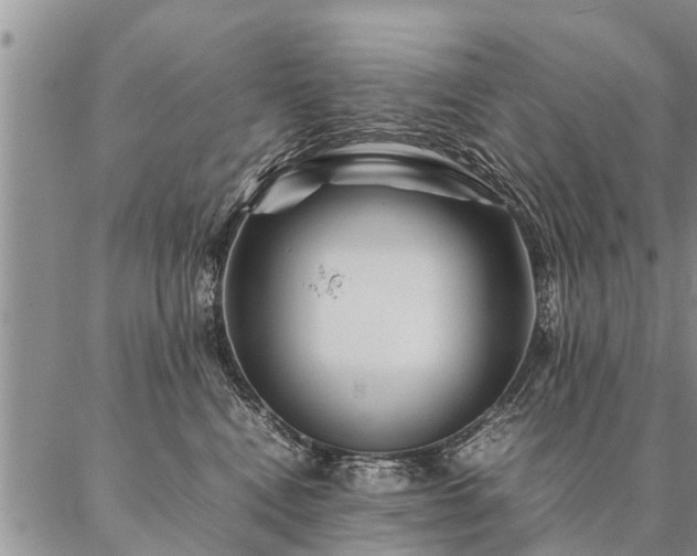 X0000087390472200704271627