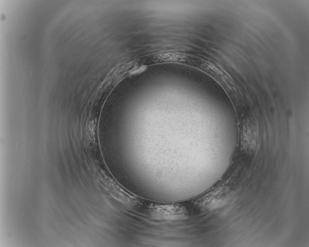 X0000087390473200704271627