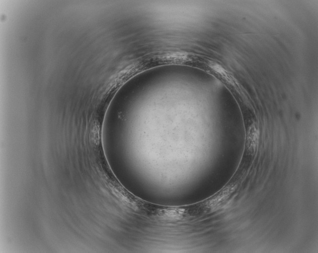 X0000087390474200704271627