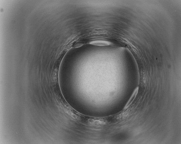 X0000087390475200704271627