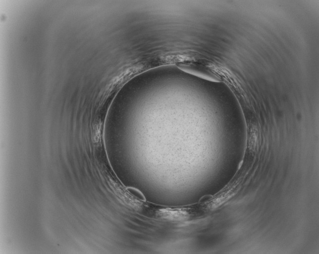 X0000087390477200704271627