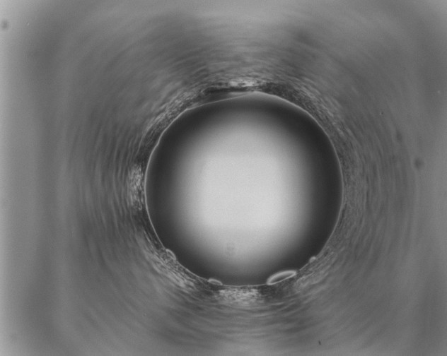 X0000087390480200704271627