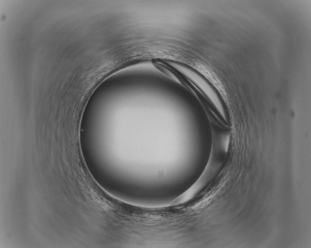 X0000087390481200704271626