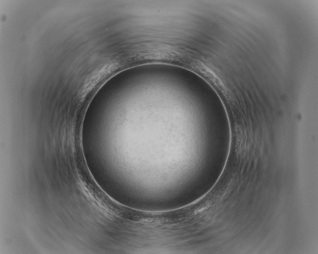 X0000087390482200704271626