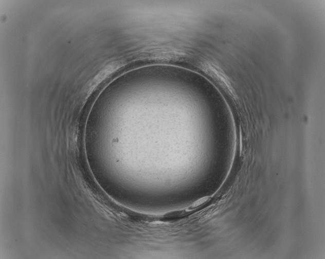 X0000087390483200704271626