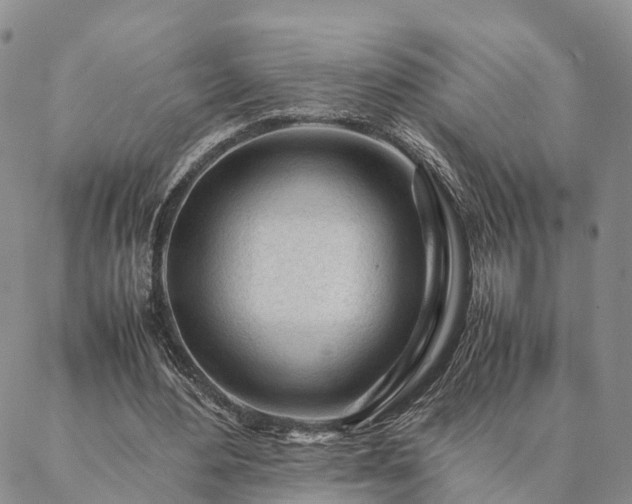 X0000087390484200704271626