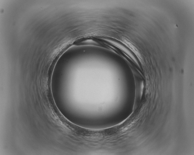 X0000087390485200704271626