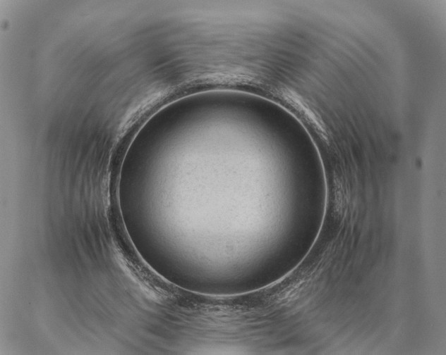 X0000087390486200704271626